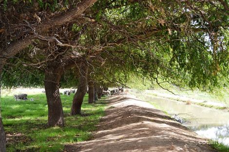 254 King Rd, Capels Crossing, VIC 3579