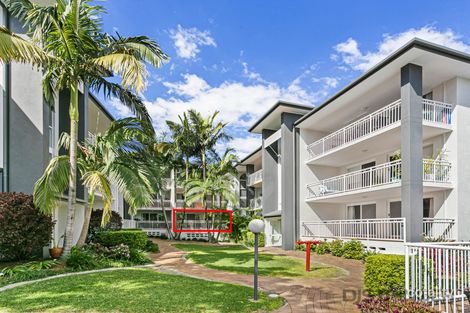 4/14 Douglas St, Coolangatta, QLD 4225
