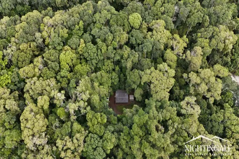85 Figtree Cl, Malanda, QLD 4885