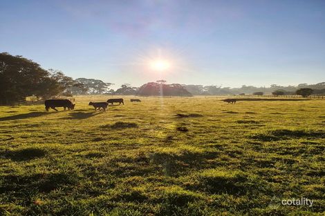 1 Hurdy Gurdy Lane, The Gurdies, VIC 3984