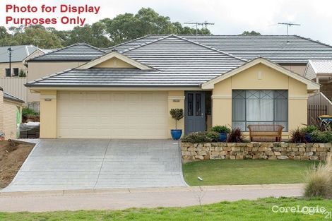 Property photo of 3 Bishop Mews Flagstaff Hill SA 5159