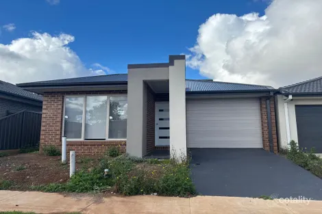 19 Gelantipy Dr, Truganina, VIC 3029