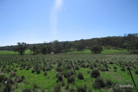 Property photo of 1074 Wild Cattle Flat Road Captains Flat NSW 2623