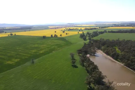 564 Paytens Bridge Rd, Eugowra, NSW 2806