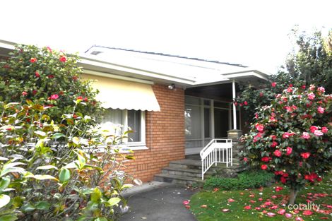 Property photo of 59 William Street Mount Waverley VIC 3149