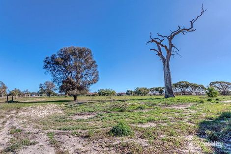 Property photo of 10 Greenhill Grove Cardup WA 6122