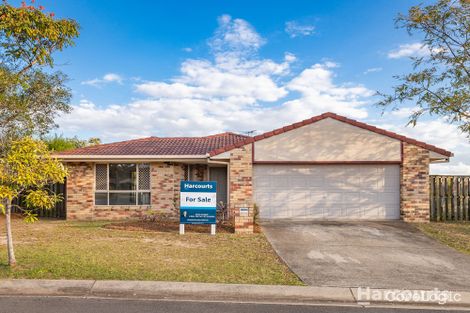 Property photo of 51 Reardon Street Calamvale QLD 4116