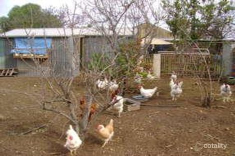 Property photo of 10 Chivell Street Mallala SA 5502