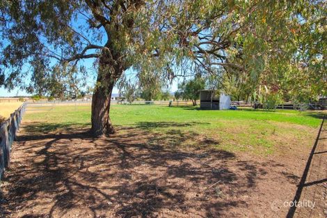 Property photo of 46 Mareeba Road Parkville NSW 2337