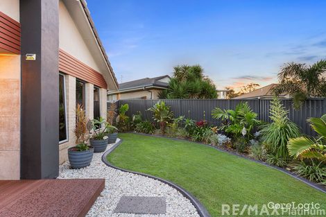 Property photo of 14 Wilton Court Morayfield QLD 4506