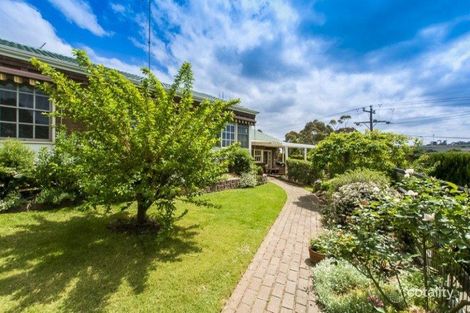 Property photo of 19 Queens Park Road Highton VIC 3216