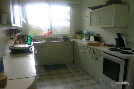 Property photo of 19 Warri Crescent Macmasters Beach NSW 2251