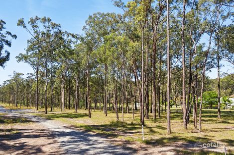 59 Bloodwood Gr, Gulmarrad, NSW 2463