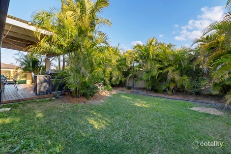 Property photo of 6 Glasswing Drive Upper Coomera QLD 4209