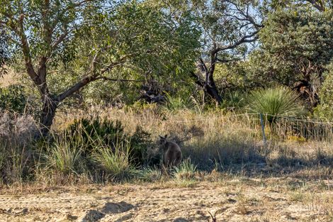 Property photo of 149 Bottlebrush Road Nilgen WA 6044