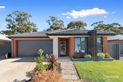 14 Eucalyptus St, Jackass Flat, VIC 3556