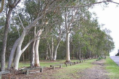 Property photo of 361 Whites Road Lota QLD 4179