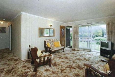 Property photo of 17 Wamara Street Buddina QLD 4575