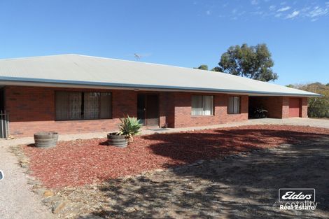 Property photo of 43 King Street Lyndoch SA 5351