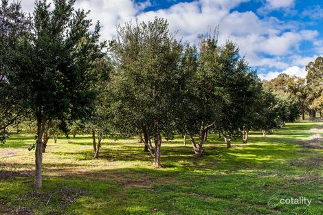 Property photo of 217 Breeze Road Gidgegannup WA 6083