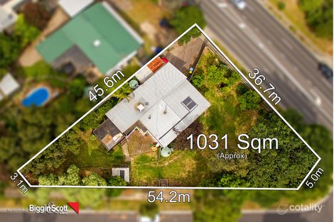 Property photo of 261 Scoresby Road Boronia VIC 3155