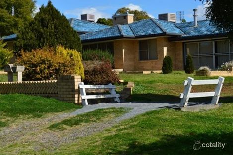 Property photo of 38 Pine Street Killarney QLD 4373