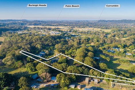 Property photo of 14 Tyalla Court Tallebudgera QLD 4228