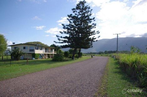 Property photo of 202 Piralko Road Mount Surround QLD 4809