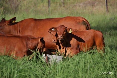 375 North Branch Rd, Maryvale, QLD 4370