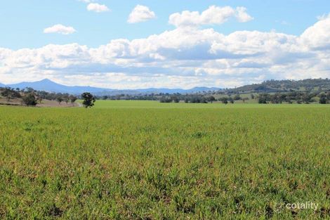 132 Mountain Station Rd, Merriwa, NSW 2329