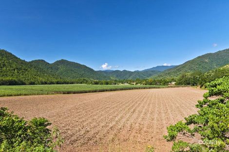 Property photo of 27 Daphne Drive Redlynch QLD 4870