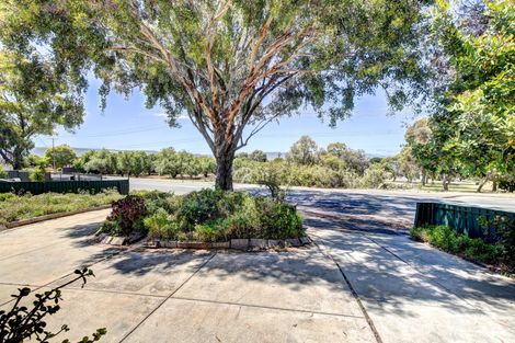 Property photo of 284 Milne Road Modbury Heights SA 5092
