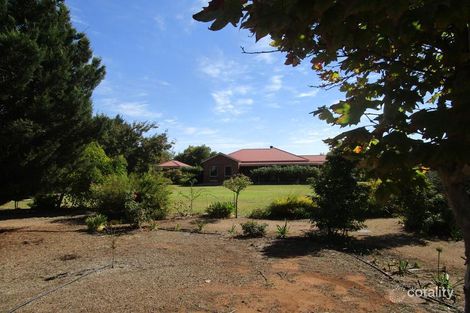 Property photo of 212 McKenzie Road Loveday SA 5345