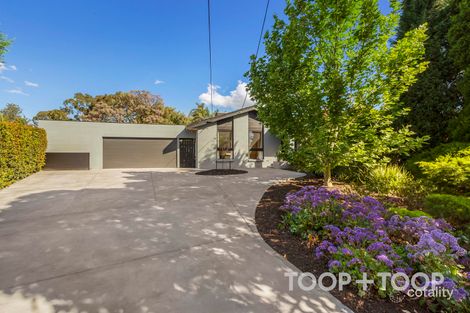 9 Munilla Ave, Fairview Park, SA 5126