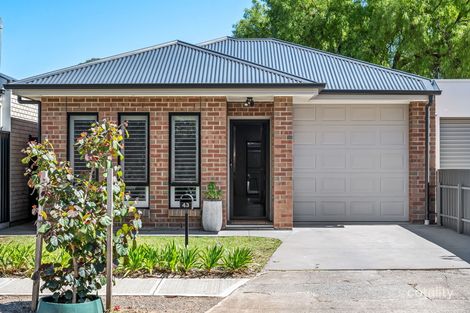 Property photo of 43 Denham Avenue Morphettville SA 5043