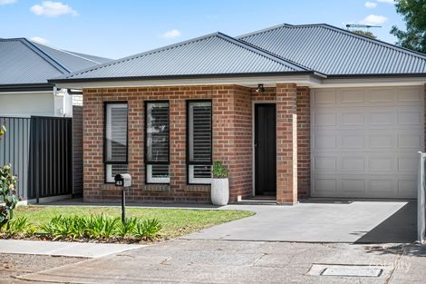 Property photo of 43 Denham Avenue Morphettville SA 5043