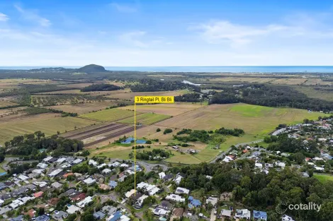 Property photo of 3 Ringtail Place Bli Bli QLD 4560