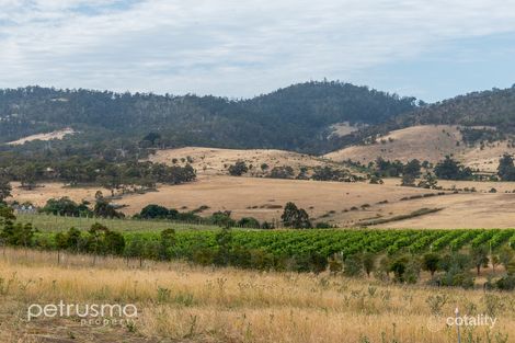 8 Napa St, Howrah, TAS 7018