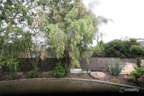 56 Parsons St, Marion, SA 5043