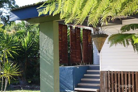 Property photo of 7 Musgrave Street Halifax QLD 4850