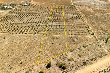 52 Schutt Rd, Dublin, SA 5501