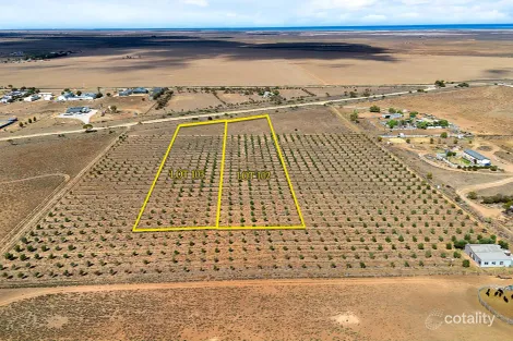 Property photo of 52 Schutt Road Dublin SA 5501