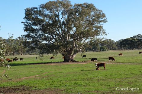 Property photo of 91 Marland Road Barkly VIC 3384