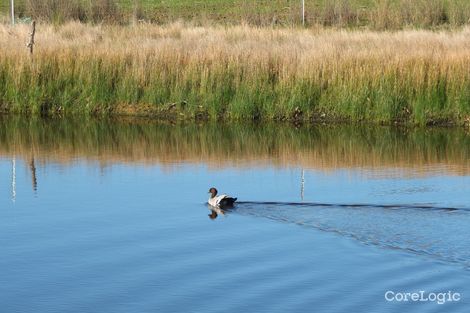 Property photo of 91 Marland Road Barkly VIC 3384