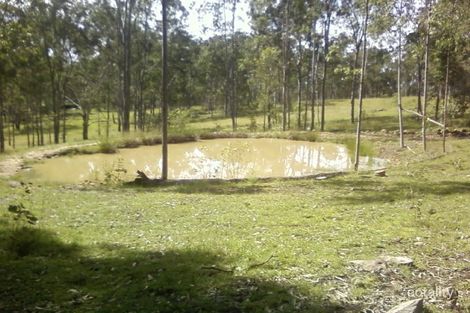 1163 Paddys Flat Rd, Tabulam, NSW 2469