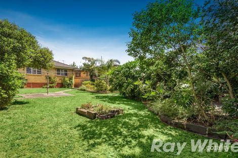 Property photo of 79 Husband Road Forest Hill VIC 3131