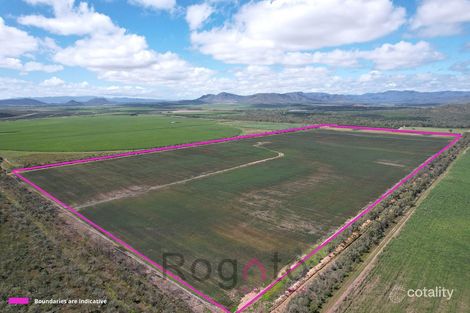 2799 Mareeba-Dimbulah Rd, Mutchilba, QLD 4872