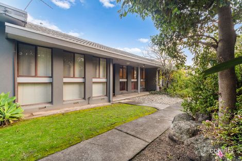 Property photo of 3/17-19 George Street Frankston VIC 3199