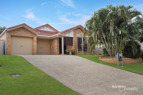 Property photo of 36 Jonquil Circuit Flinders View QLD 4305