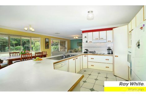 Property photo of 113 Morris Road Elimbah QLD 4516